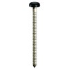 TIMCO PN40BL Polymer Headed Nail 40mm - Black (Box of