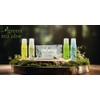 Crema Humectante 25 ml Green Tea Aloe, Amenidades Hoteleras, 144