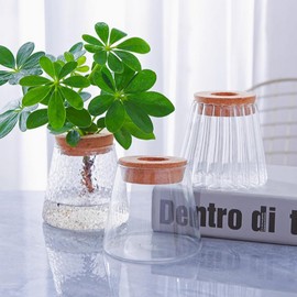 Floating Hurricane Candle Holder Vase - 3pcs/Set Telight Candle Holder Plant Propagation Glass Flower Bud Vase Hydroponic Jars with Tray & Lid for Centerpieces Propagating Wedding Plants Office Home