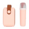 Mini Karaoke Machine Set Portable Bluetooth Speaker with 1 Wireless