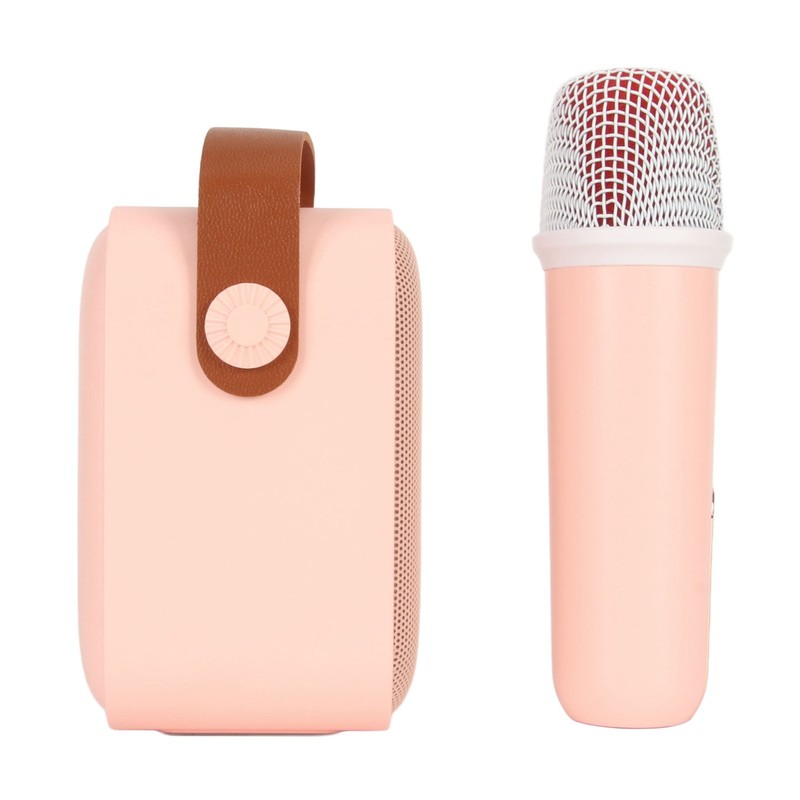 Mini Karaoke Machine Set Portable Bluetooth Speaker with 1 Wireless