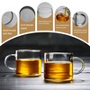 DOPUDO Glass Teacups 250ml Set of 2 Borosilicate
