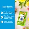 Chrysal Flower Boost – Clear Flower Food Packets for Flower