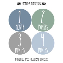 Baby Monthly Stickers | Milestone Stickers | Newborn Month Stickers for Baby Girl or Boy | Gender Neutral Stickers | Birth Announcement (Set of 24)