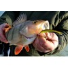 Major Fish Bass Box 35-Piece Rubber Fish Hard Baits Set