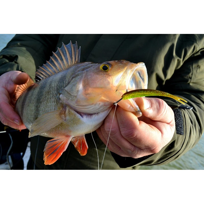 Major Fish Bass Box 35-Piece Rubber Fish Hard Baits Set