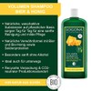 LOGONA Organic Honey Volume Shampoo 17oz, 500ml