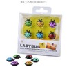 TXDAMAI Mini Ladybird Fridge Magnet 6 Pieces Creative Fridge Magnetic