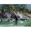 Cobble Hill 1000 Piece Puzzle - Orcas - Sample Poster