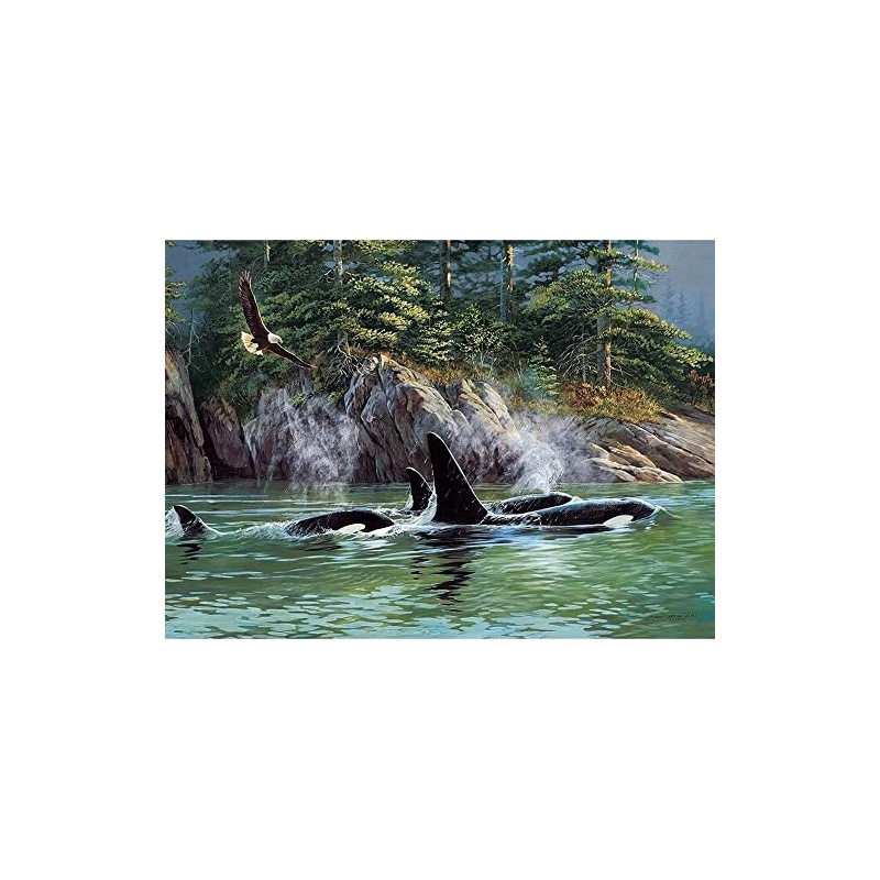 Cobble Hill 1000 Piece Puzzle - Orcas - Sample Poster