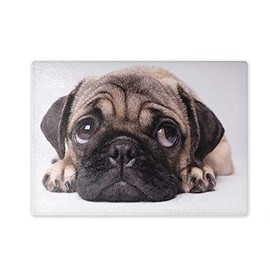 Chopping Board / Glass Chopping Board 20 x 28 x 0.4 cm - Motif: Pug Lying Thoughtful | 05