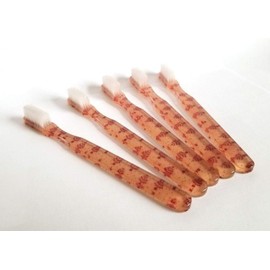 5-PACK New FUN Peach Vintage Toothbrushes By Alan Stuart of New York