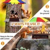 Squirrel Feeder with Umbrella, Metal Squirrel Feeders for Outside with