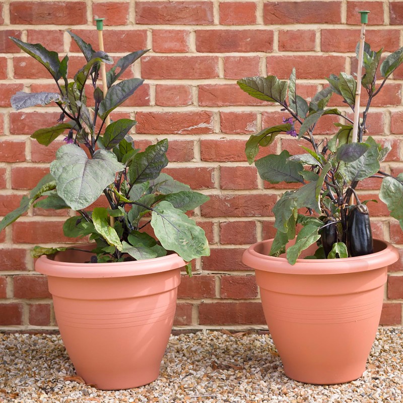 Cane Caps 30 Pcs Green Rubber Garden Bamboo Cane Topper