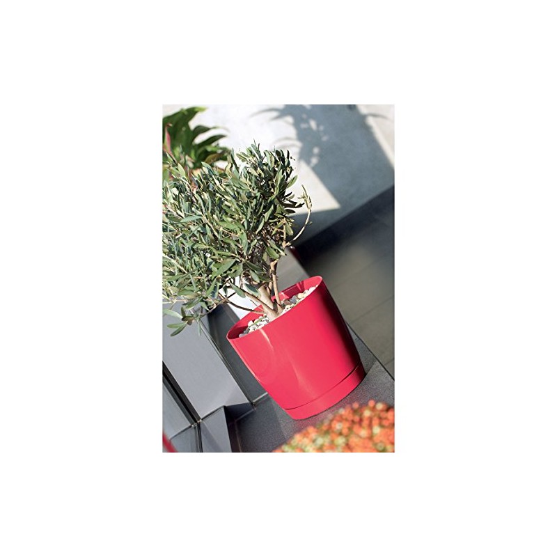 Prosper Plast DUOP100-426U 10 x 9.2 cm Coubi Flowerpot -