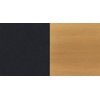 Canarm Elsee 2-Light Track Lighting Black and Gold with Clear