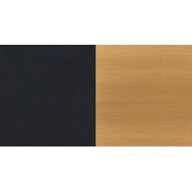 Canarm Elsee 2-Light Track Lighting Black and Gold with Clear Ribbed Glass Shades, Adjustable Heads, Modern Ceiling Fixture for Kitchen, Living Room or Hallway