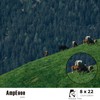 AmpEase 8x22 Compact Binoculars – Waterproof, High-Powered Binoculars for Adults