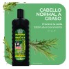 Shampoo Romero Y Árbol De Te Del Indio Papago