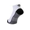 Colantotte Sports Pro-Aid Socks for Run