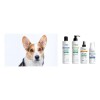 Psh Eye Cleaner Tonic | Limpieza De Contorno De Ojos