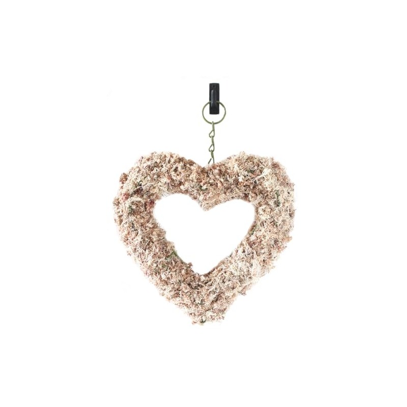 SuperMoss (22361) Living Wreath for Indoor and Outdoor Decor –