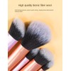 Makeup Brushes set, 5 Count Pack Of One (Caro Fashion)
