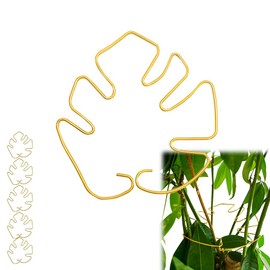 FAWAYSHAAN 5PCS Plant Support - Monstera Plant Support, Plant Stem Support for Indoor Plants, Indoor Plant Trellis, Plant Lattice for Plant Growth Accessories (Gold)
