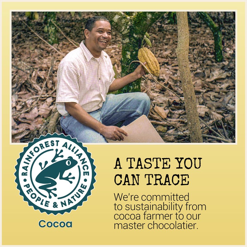 Chocolove Dark Chocolate Bars | 55% Cocoa | Crafted with