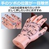 EdisonBrain Rubbing Reflection Area Acupuncture Manipulative Model Hand Model