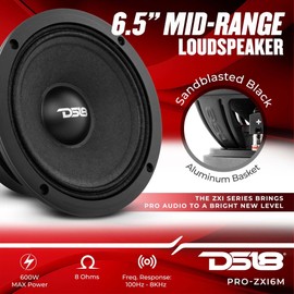 DS18 PRO-ZXI6M 6.5" Mid-Range Car Audio Loudspeaker 600 Watts 8-Ohm - Premium Quality Audio Door Speakers for Car or Truck Stereo Sound System (1 Speaker)