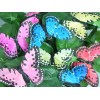 Banberry Designs Clip On Butterflies - Butterfly Clips with Feather