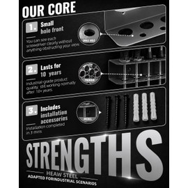 loyerfor Screwdriver Plier Organizer Wall Mount,Metal Utility Metal Tool Holder Rack for Garage, Workshop, Workbench, Homes Tool Chest (1 Pack Black)
