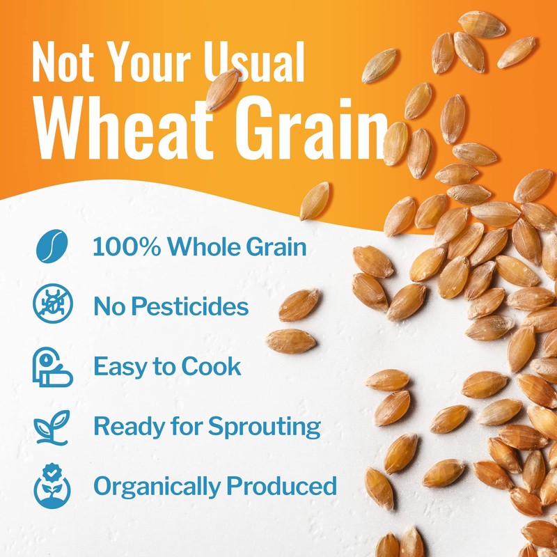 Organic Einkorn Berries (Farro Piccolo) (15 pounds)