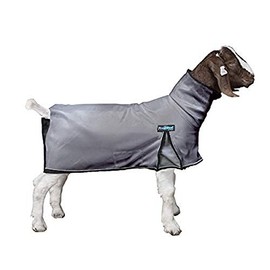 ProCool™ Goat Blanket with Reflective Piping, Extra Large, Gray