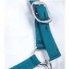 HKM by Reiterladen24 Basicline Lined Headcollar Petrol Warmblood