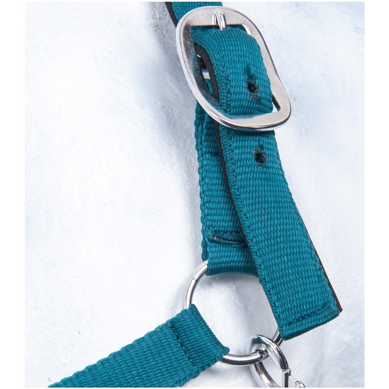 HKM by Reiterladen24 Basicline Lined Headcollar Petrol Warmblood