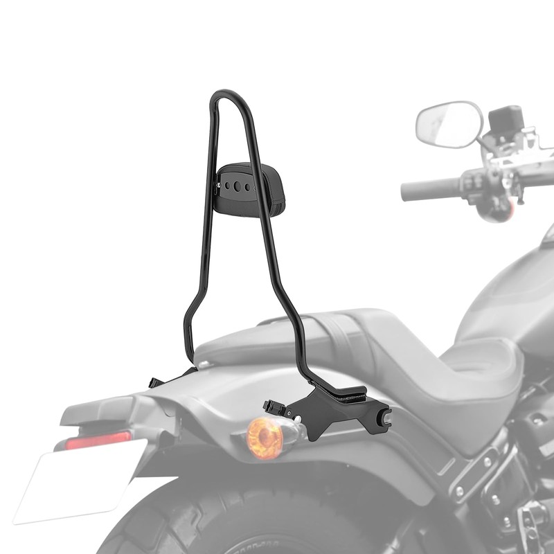 Wsays 22.25" Tall Sissy Bar One-Piece Passenger Backrest w/Pad Detach