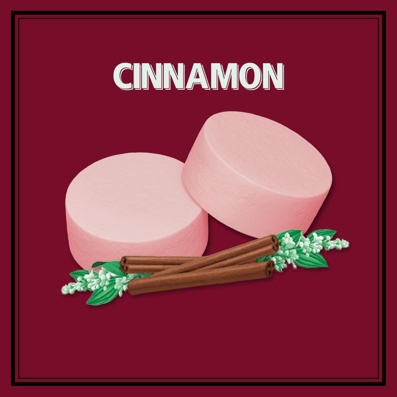 ALTOIDS Classic Cinnamon Hard Candy Breath Mints Bulk, 1.76 oz