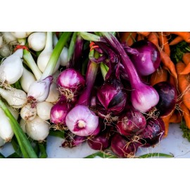 Southeast Seeds Scarlet Bandit Bunching Onion Seeds, Red Bunching Scallions, FREE SHIPPING - 32k Seeds or 1/4 LB