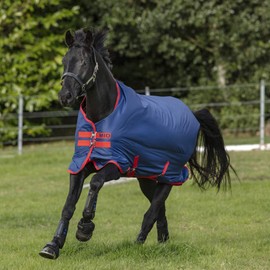 Horseware Mio 200G Medium Turnout Blanket Dark Blue/Dark Blue & Red 72