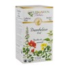 Celebration Herbals Dandelion Leaf Tea Bags 24 Count