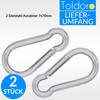 Toldoro Niro AISI 316 V4A Stainless Steel Snap Hook 50-120