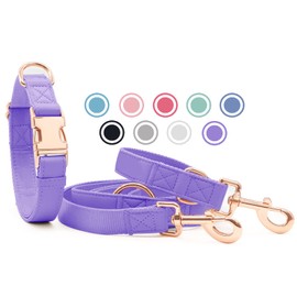 Soft Leather Dog Collar and Lead (2 m) Set - 3-Way Adjustable Dog Lead with Collar, Stylish Rose Gold Metal Buckle & Nylon Dog Lead for Puppies Small Medium Large Dogs Purple, L