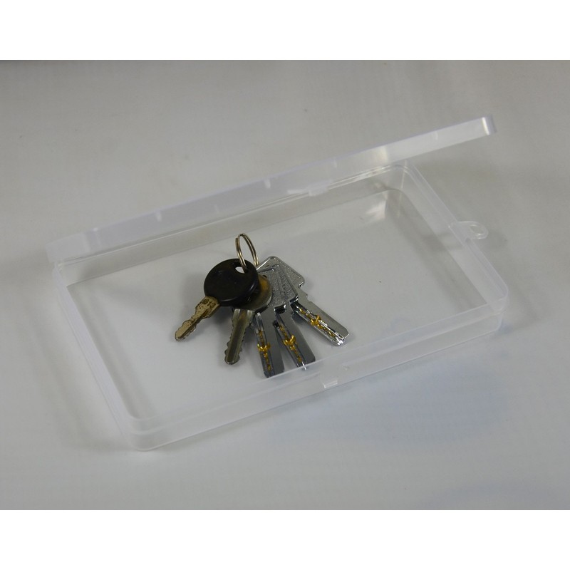 Paialco Clear Plastic Flat Rectangle Storage Box for Beads and