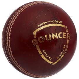 SG Bouncer Leather Ball Adult