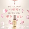 AKNIR Rika Hair Scalp Serum Rose x Sandalwood, 2.8 fl