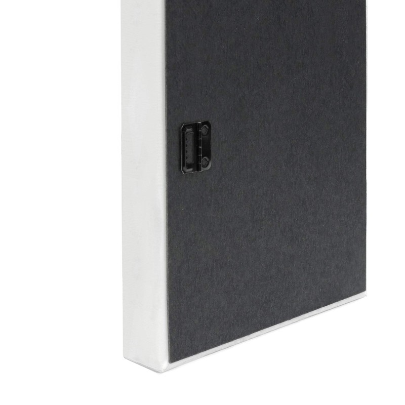 Deny Designs Allyson Johnson Love you so Art Canvas 1