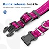 Reflective Martingale Dog Collars. Dog Collar with Quick Release Buckle.