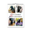 Black Labradors 2026 Yearly Wall Hanging Calendar - Splash Effect